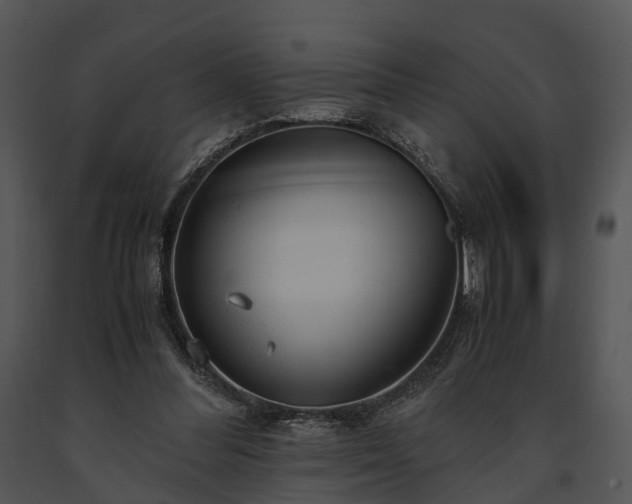 X0000091660300200708301444