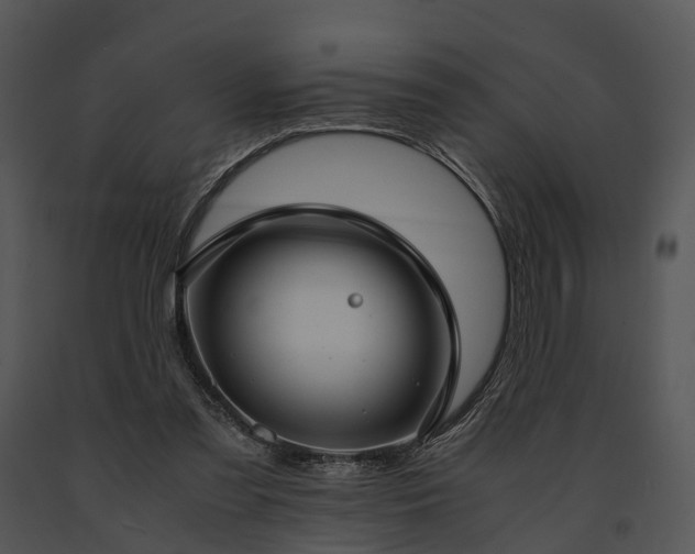 X0000091660301200708301444