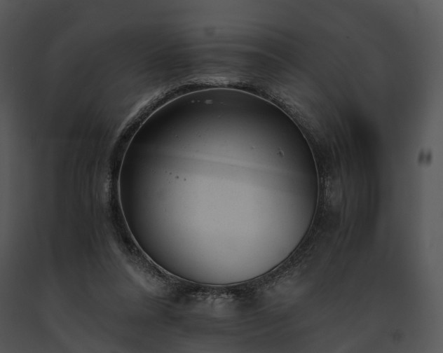 X0000091660304200708301444