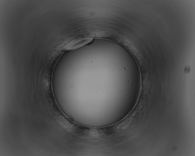 X0000091660305200708301444