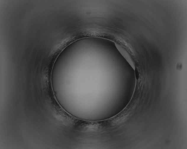 X0000091660306200708301444