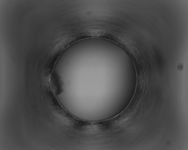 X0000091660307200708301444