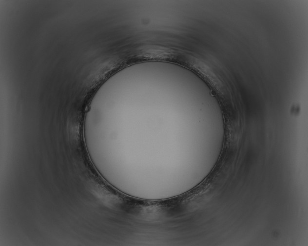 X0000091660309200708301444