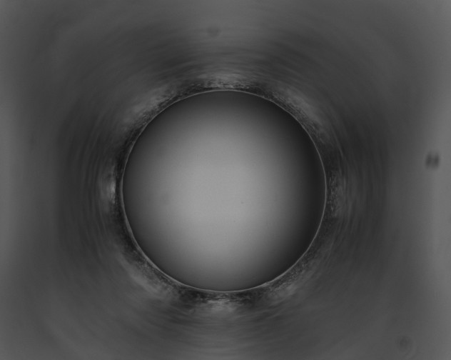 X0000091660310200708301444