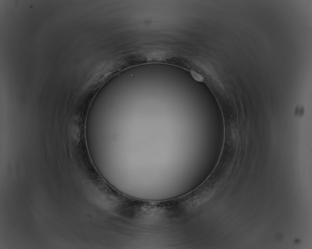 X0000091660311200708301444