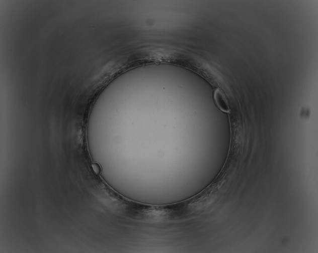 X0000091660313200708301444