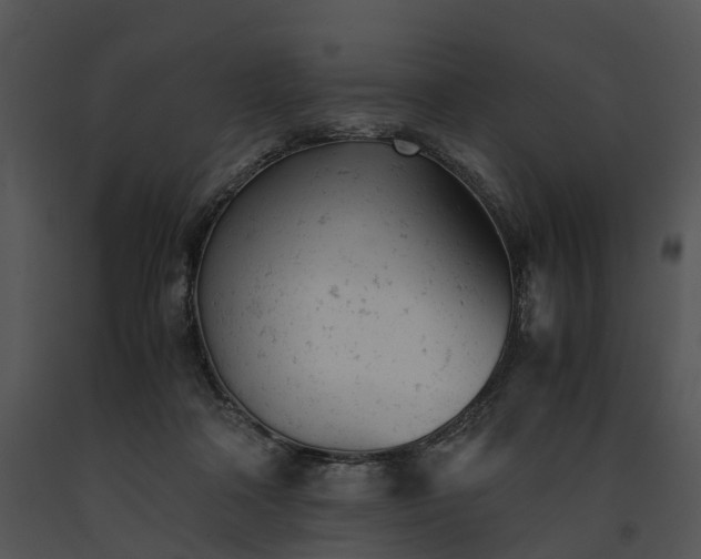 X0000091660314200708301444