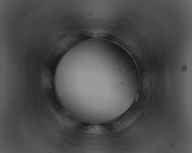 X0000091660316200708301444