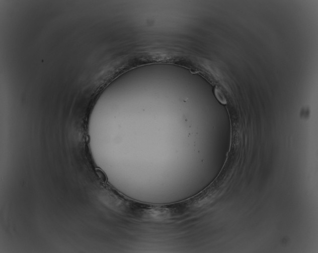 X0000091660317200708301444