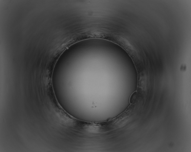 X0000091660318200708301444