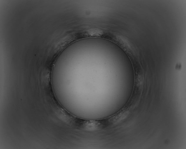 X0000091660321200708301444