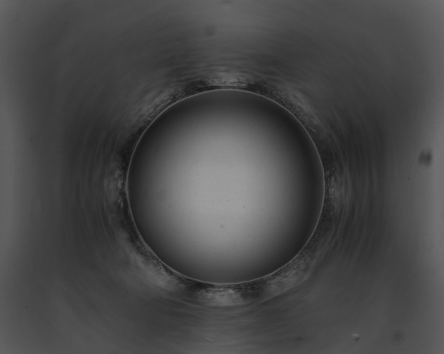 X0000091660322200708301444