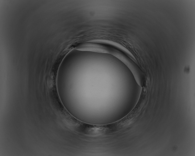 X0000091660323200708301444