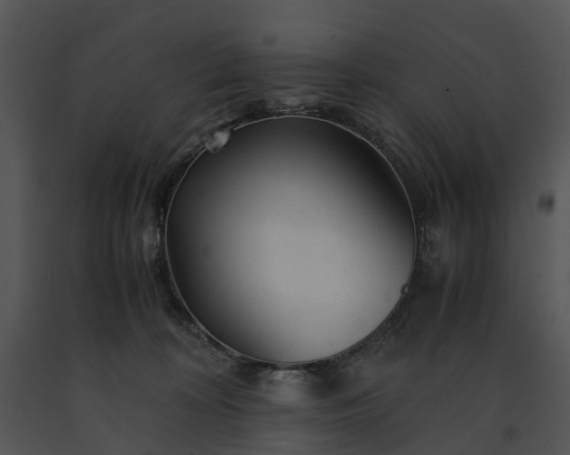 X0000091660324200708301444