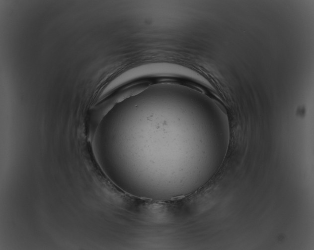 X0000091660325200708301444