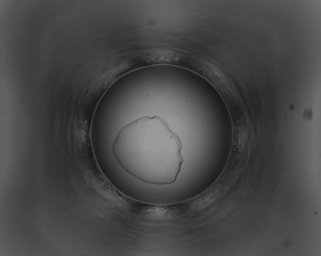 X0000091660326200708301444