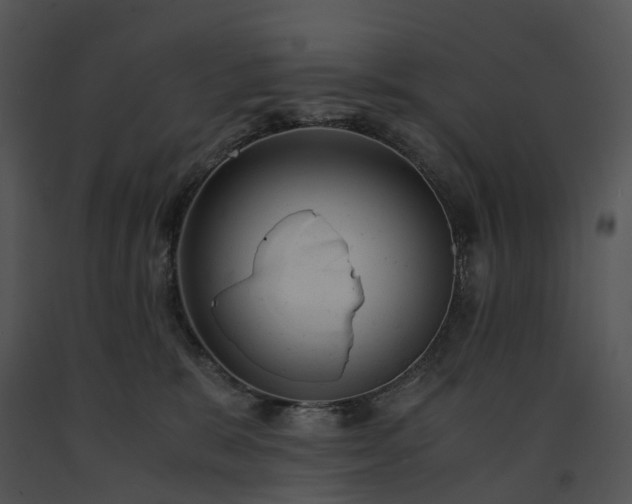 X0000091660327200708301444