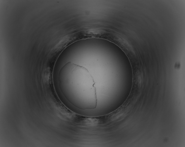 X0000091660328200708301444