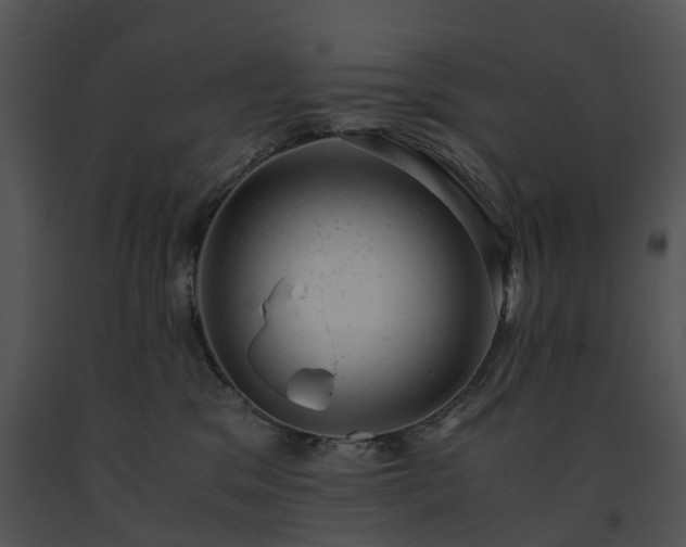 X0000091660329200708301444