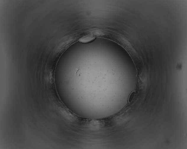 X0000091660330200708301444