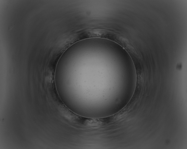 X0000091660331200708301444