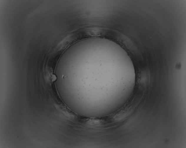 X0000091660332200708301444