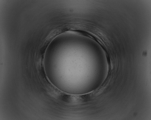 X0000091660333200708301444