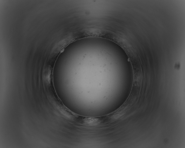 X0000091660334200708301444