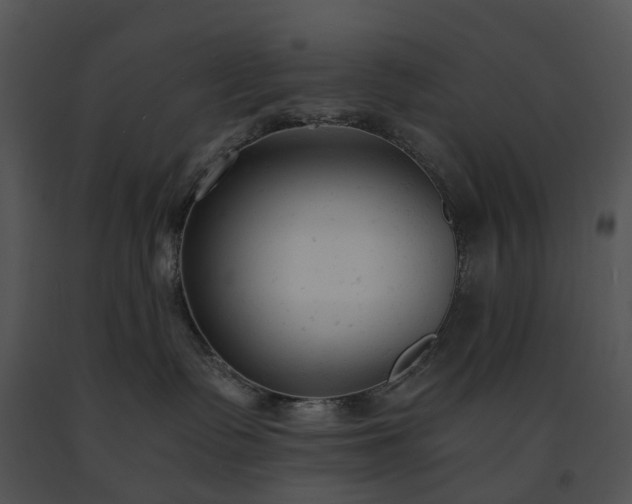 X0000091660335200708301444