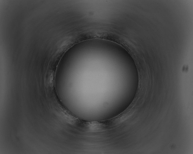 X0000091660336200708301444