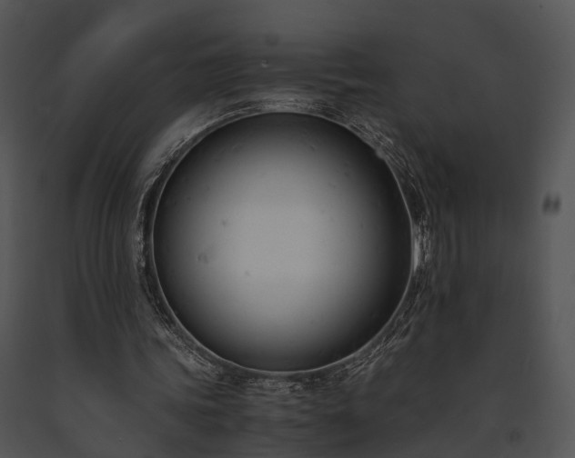 X0000091660339200708301443