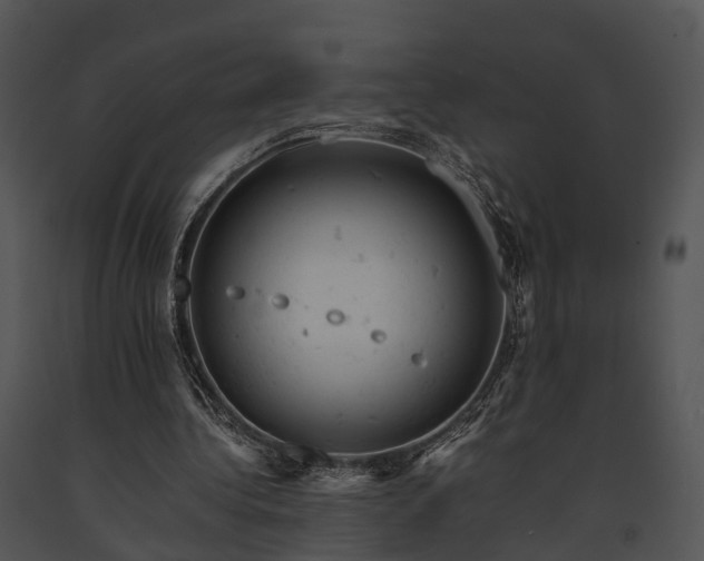 X0000091660340200708301443