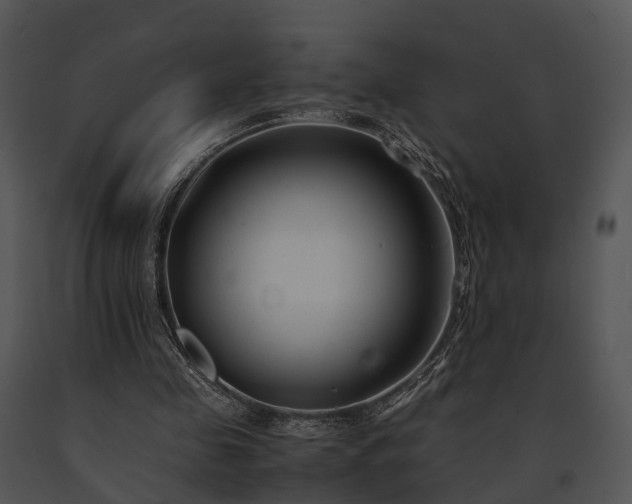 X0000091660341200708301443