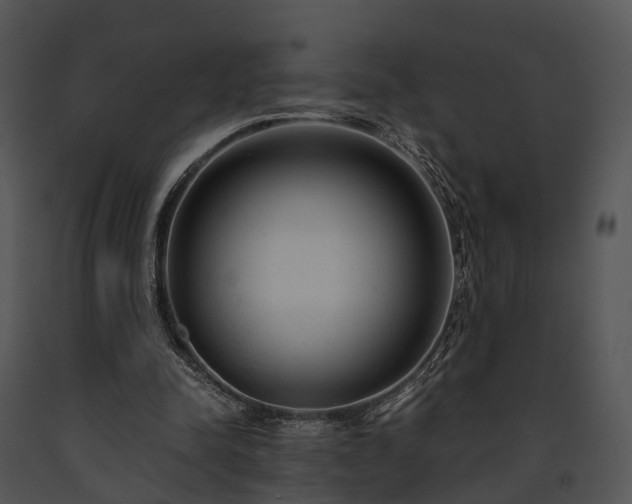 X0000091660342200708301443