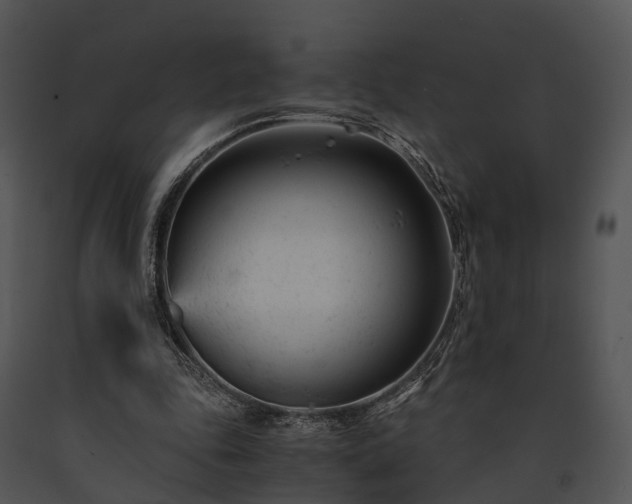 X0000091660343200708301443