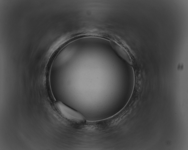 X0000091660344200708301443