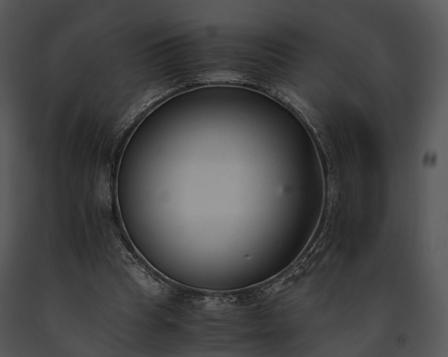 X0000091660345200708301443