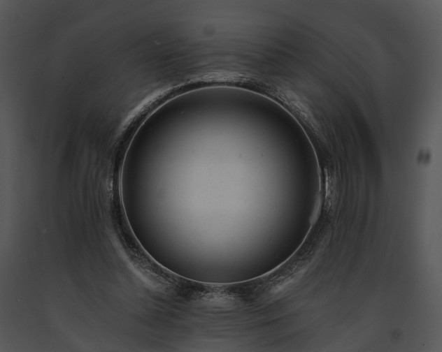 X0000091660348200708301443