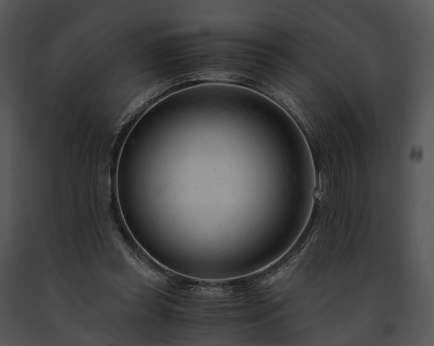 X0000091660349200708301443