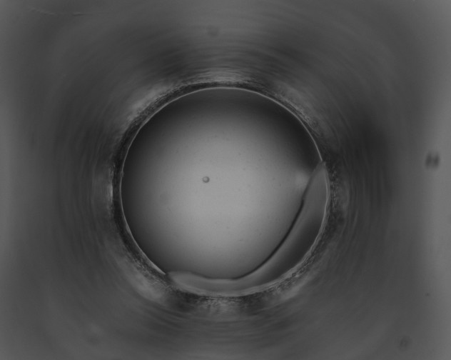 X0000091660350200708301443