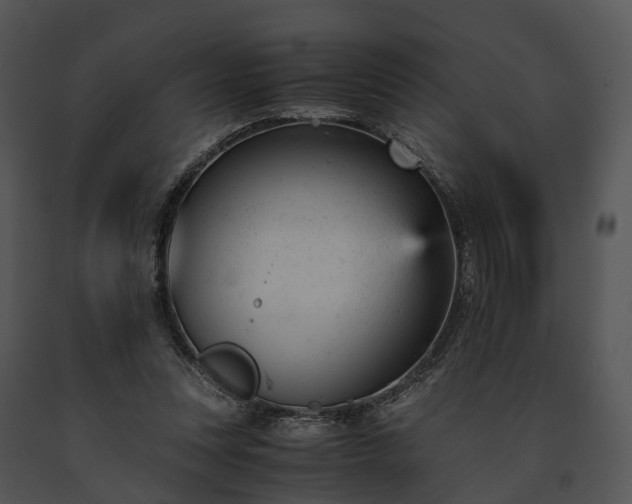 X0000091660351200708301443