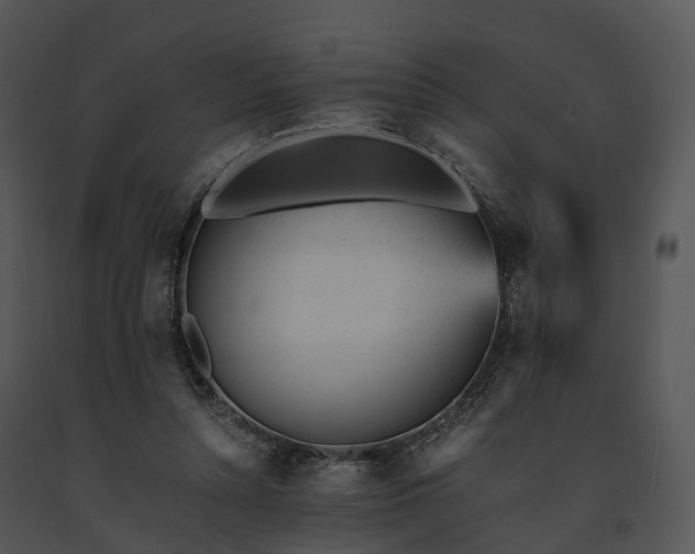 X0000091660352200708301443