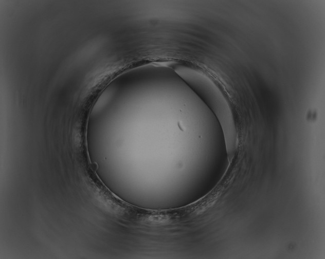 X0000091660353200708301443