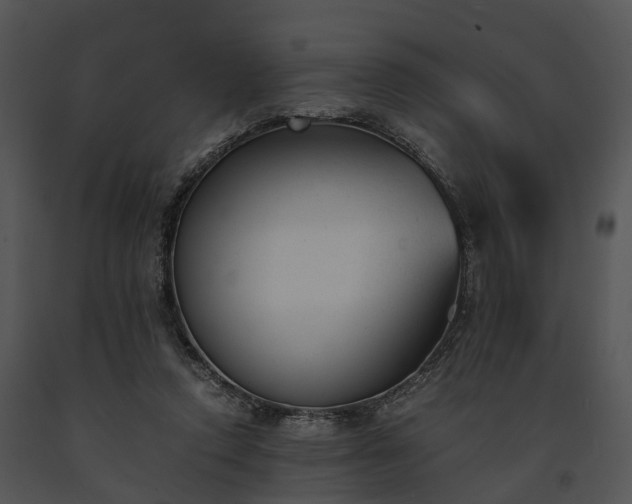 X0000091660354200708301443