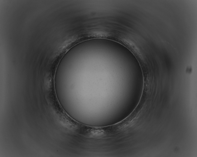 X0000091660355200708301443