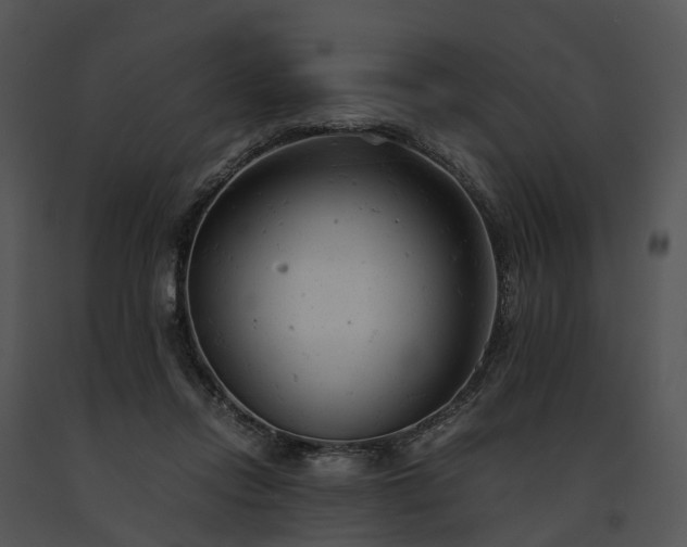 X0000091660358200708301443