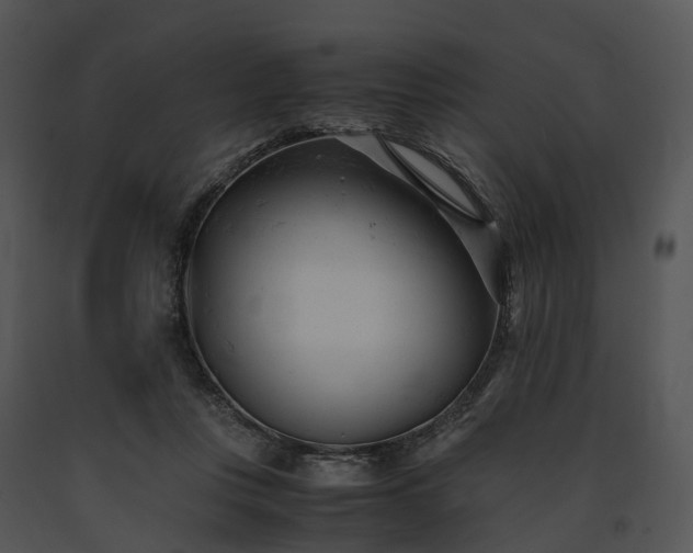 X0000091660359200708301443