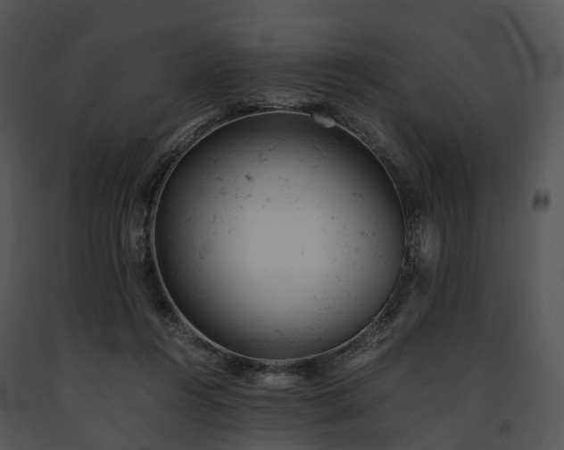 X0000091660360200708301443