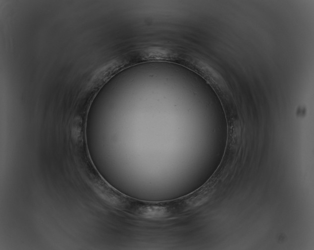 X0000091660361200708301443