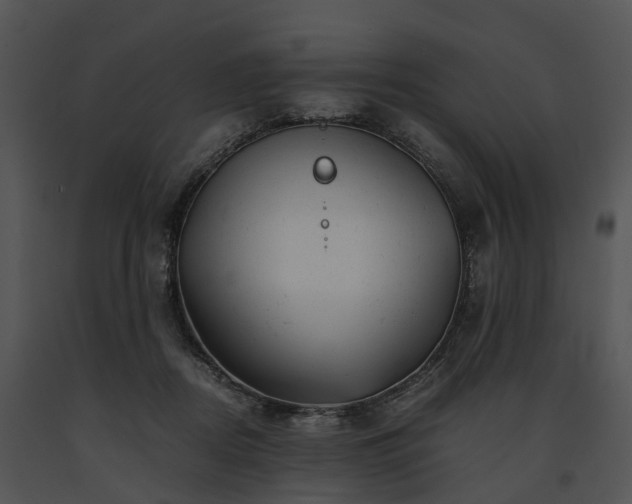 X0000091660362200708301443